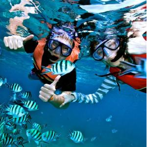 Công Ty Cổ Phần Sài Gòn - Phú Quốc