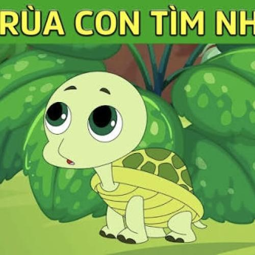 Câu chuyện: Rùa con tìm nhà