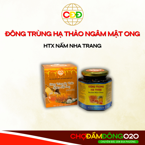 Đông Trùng Hạ Thảo Ngâm Mật Ong HTX Nấm